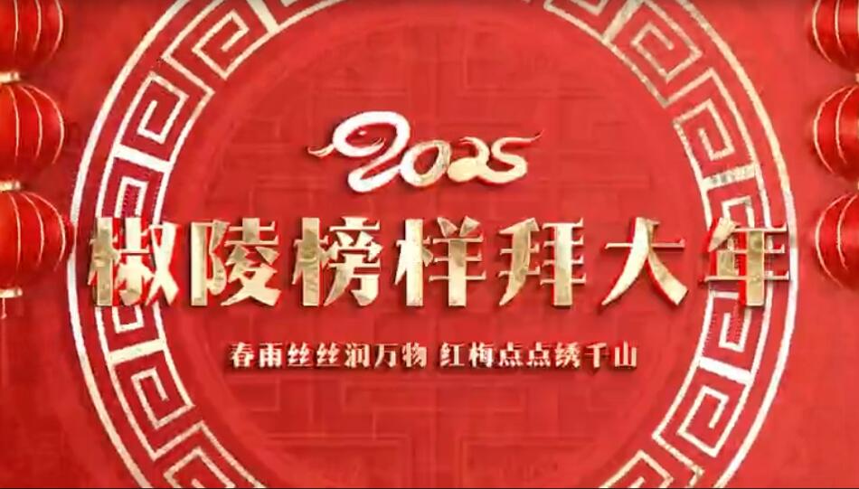 2025椒陵榜样拜大年(中) 2025椒陵榜样拜大年(中)